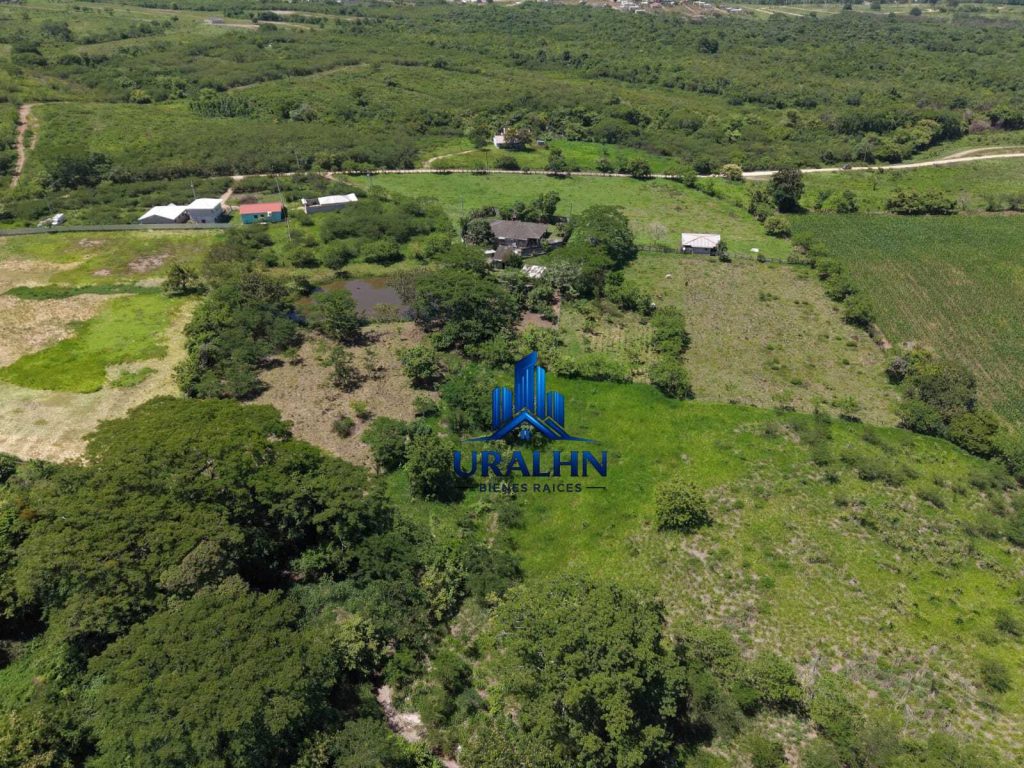 Hacienda Altamira