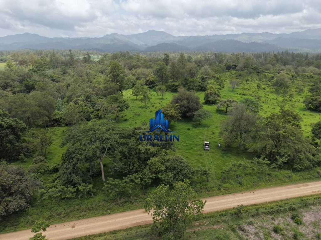 Finca Calabazeras
