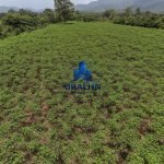 Finca Terrero Blanco