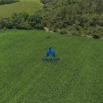 Finca Calabazeras