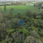 Finca Calabazeras