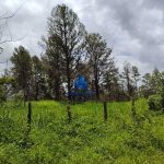 Finca Calabazeras