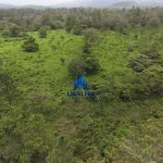 Finca Calabazeras