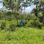Finca Calabazeras