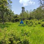 Finca Calabazeras