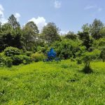 Finca Calabazeras