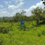 Finca Calabazeras