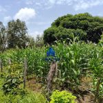 Finca Calabazeras