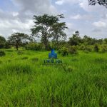 Finca Calabazeras
