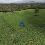 Finca Calabazeras