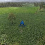 Finca Calabazeras