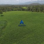 Finca Calabazeras