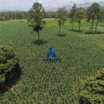 Finca Calabazeras