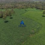 Finca Calabazeras
