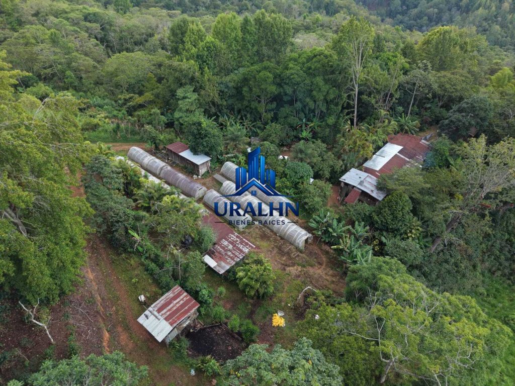 Finca La Habana