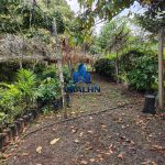 Finca La Habana