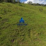 Finca La Esperanza.