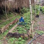 Finca La Habana