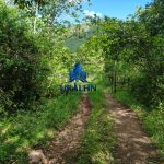 Finca La Esperanza.