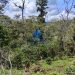 Finca La Habana
