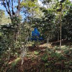 Finca La Habana