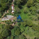 Finca La Habana