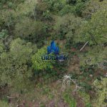 Finca La Habana