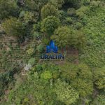 Finca La Habana
