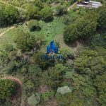 Finca La Habana