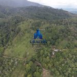 Finca La Habana