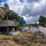 Finca La Habana
